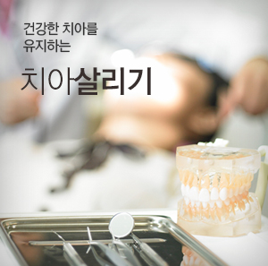 서울보스톤 덴탈케어 - 근본적인 치료로 건강한 치아를 유지하세요!